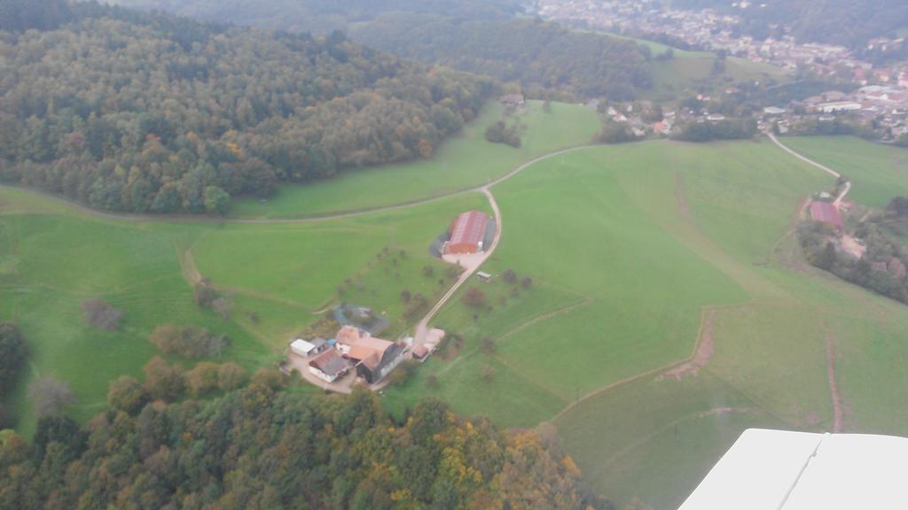 Gite A L'Oree Des Biches Sainte-Marie-aux-Mines Luaran gambar